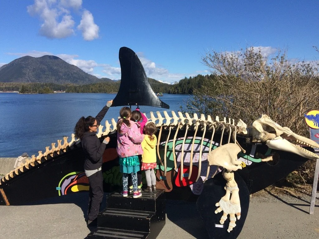 ORE &amp; ORCAS : The Remediation of Howe Sound |Átl’ḵa7tsem