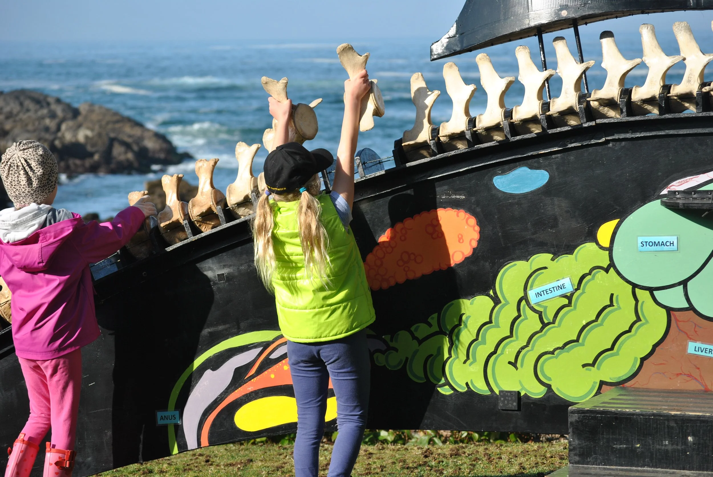 Celebrate Ocean Week Canada with Build-A-Whale