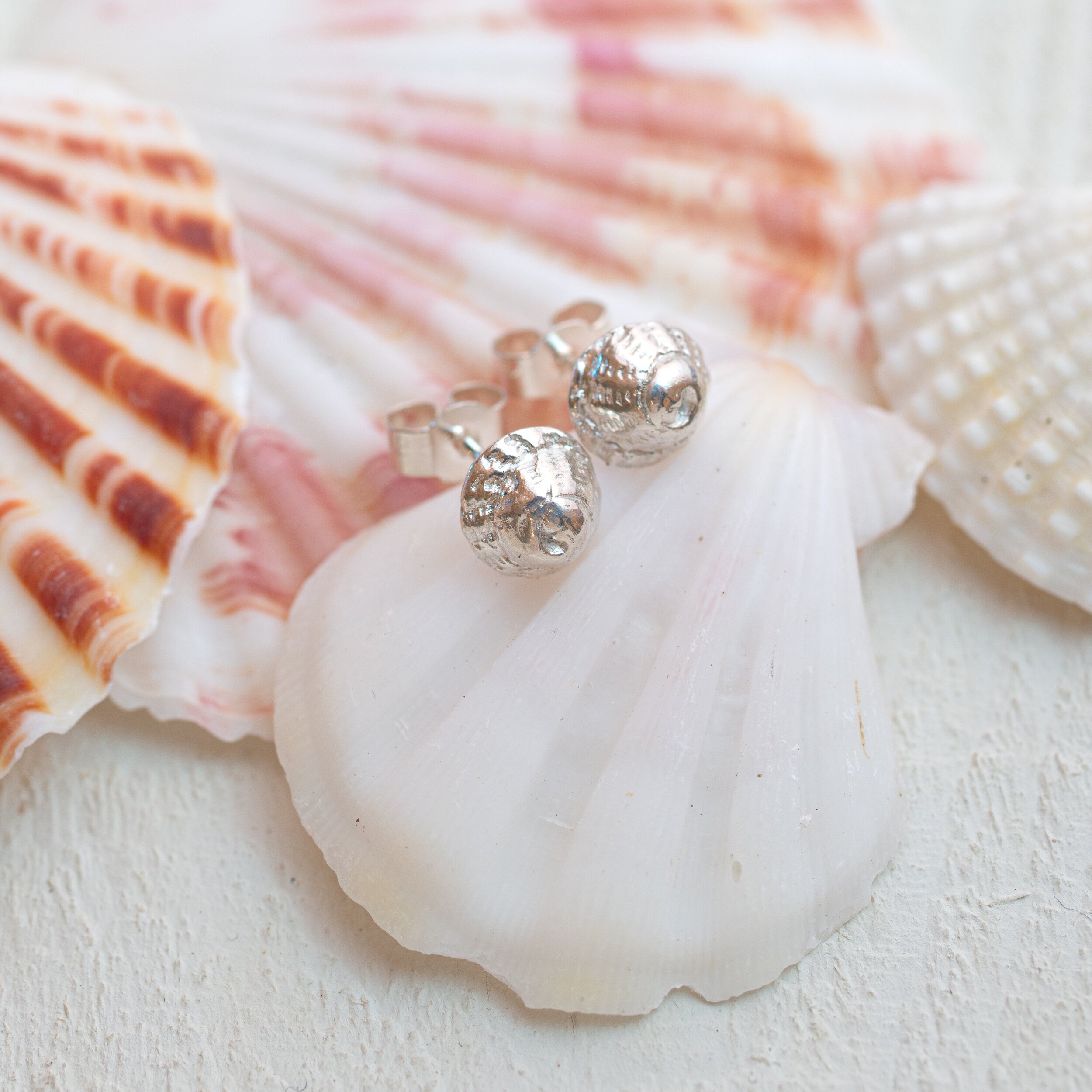 Seashell Stud Earrings