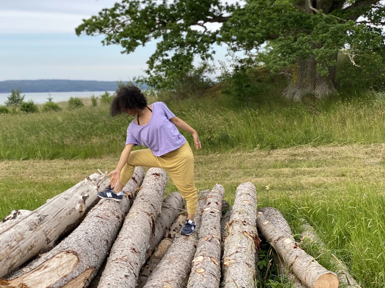 PAUSA - Yoga para todos   (online - martes)