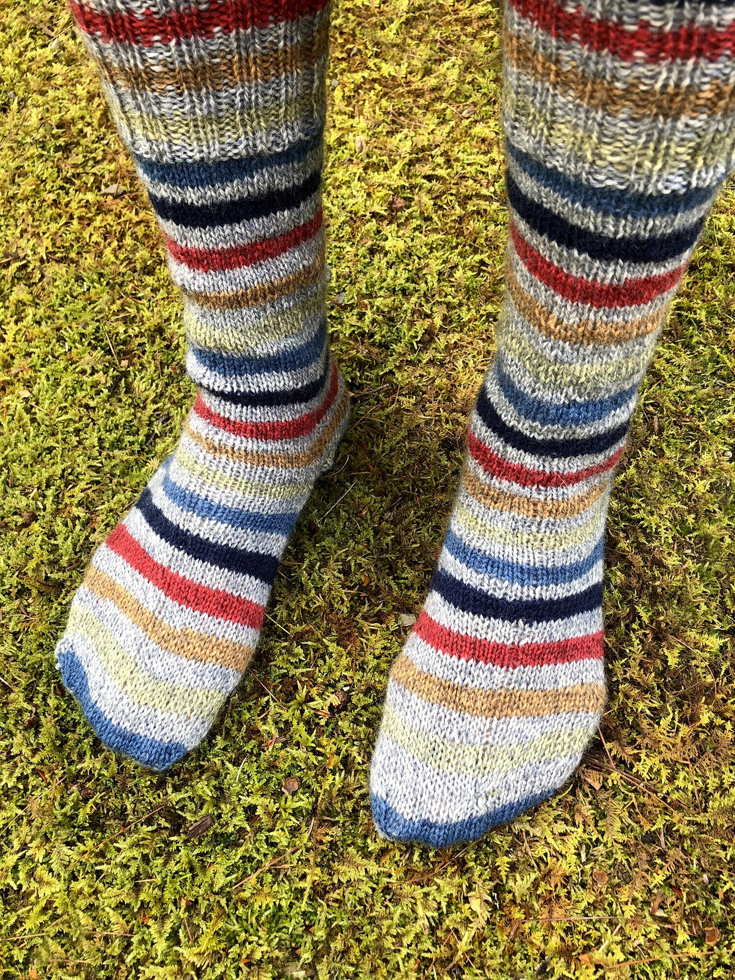 sockmoss2.jpg.webp