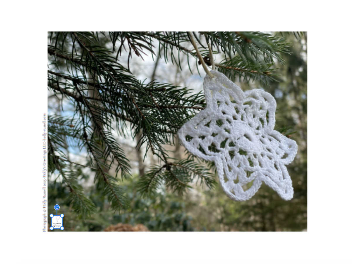 Screen Shot 2026-01-13 at 3.02.10 PM.png