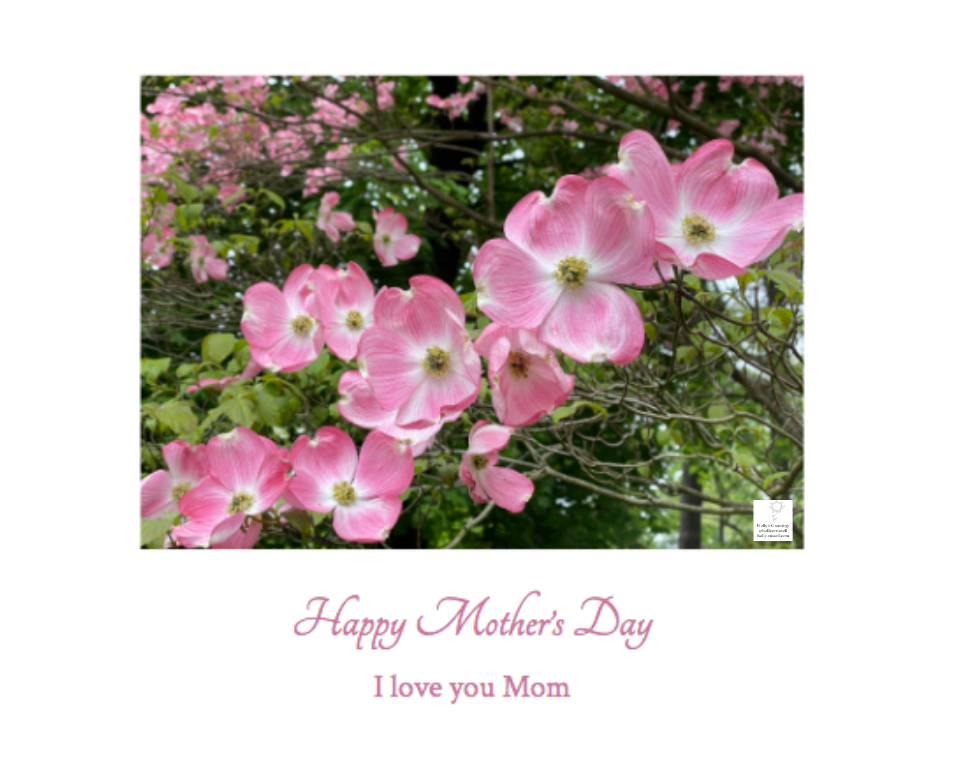 Screen Shot 2026-03-26 at 1.10.10 PM.png