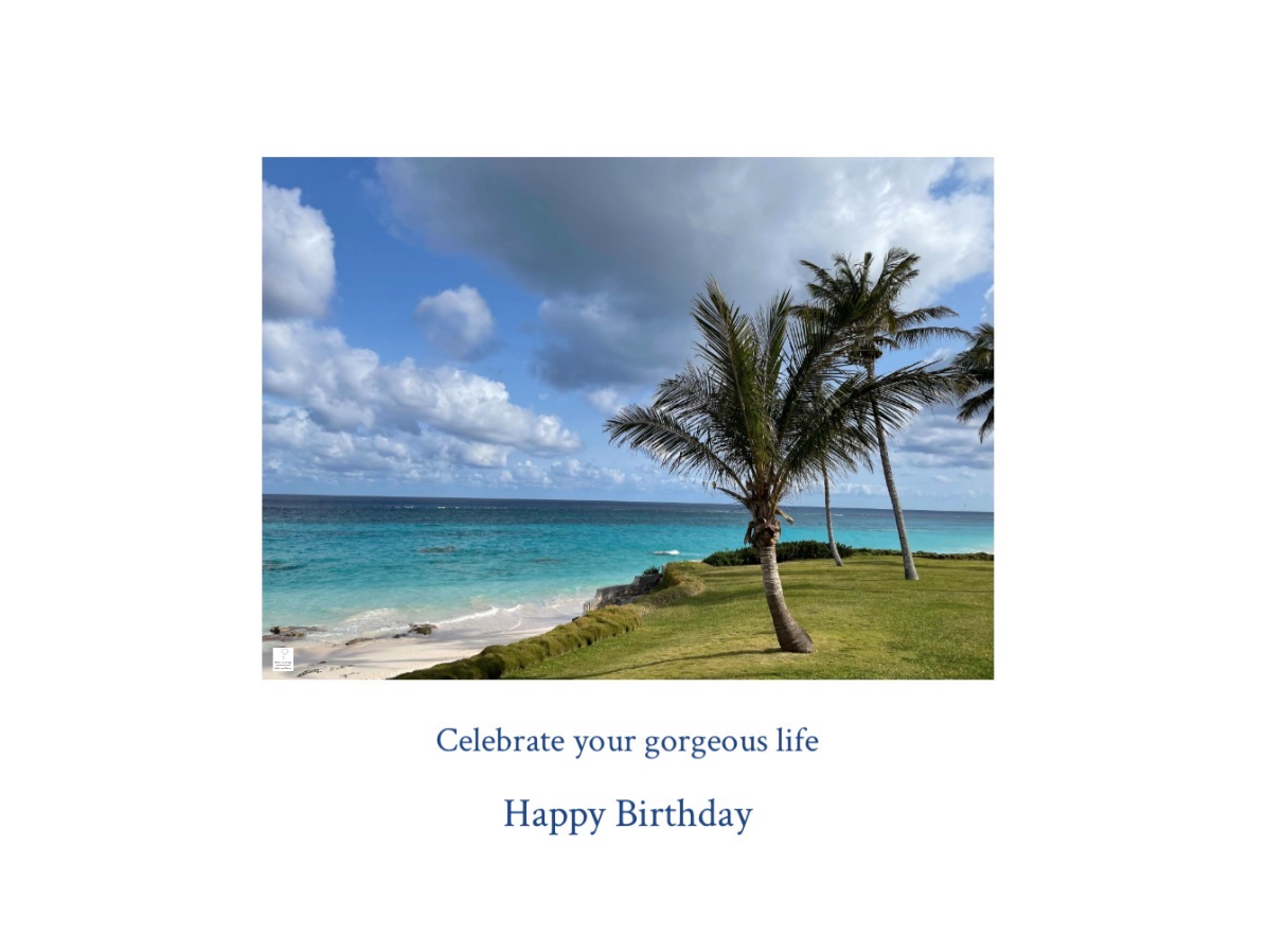 Bermuda with watermark.jpg