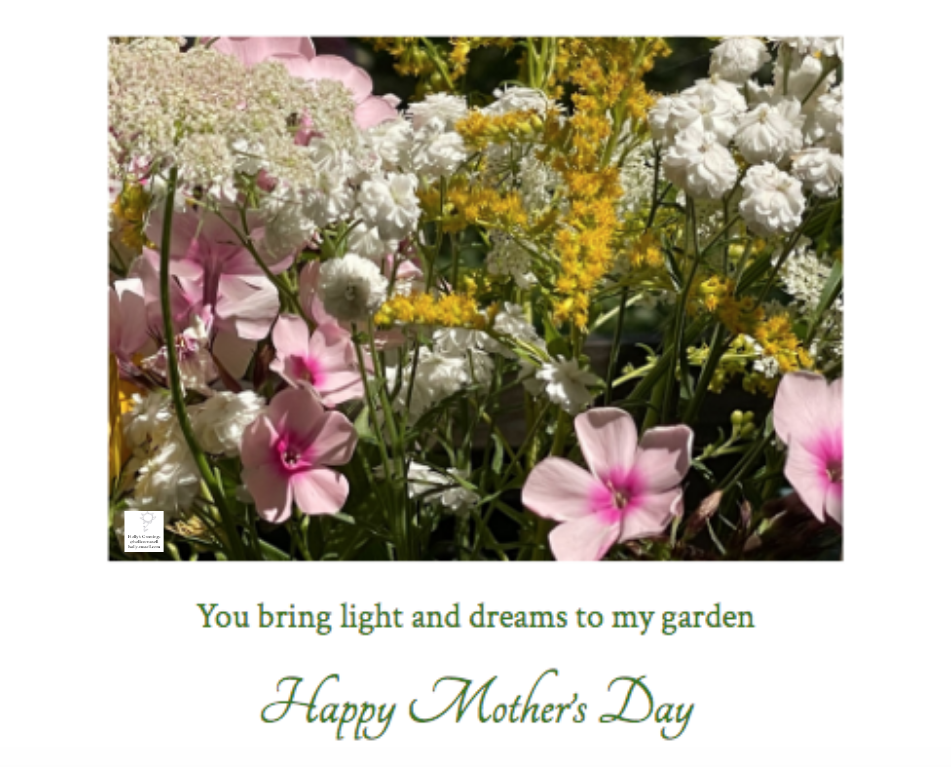 Screen Shot 2026-03-26 at 1.03.46 PM.png