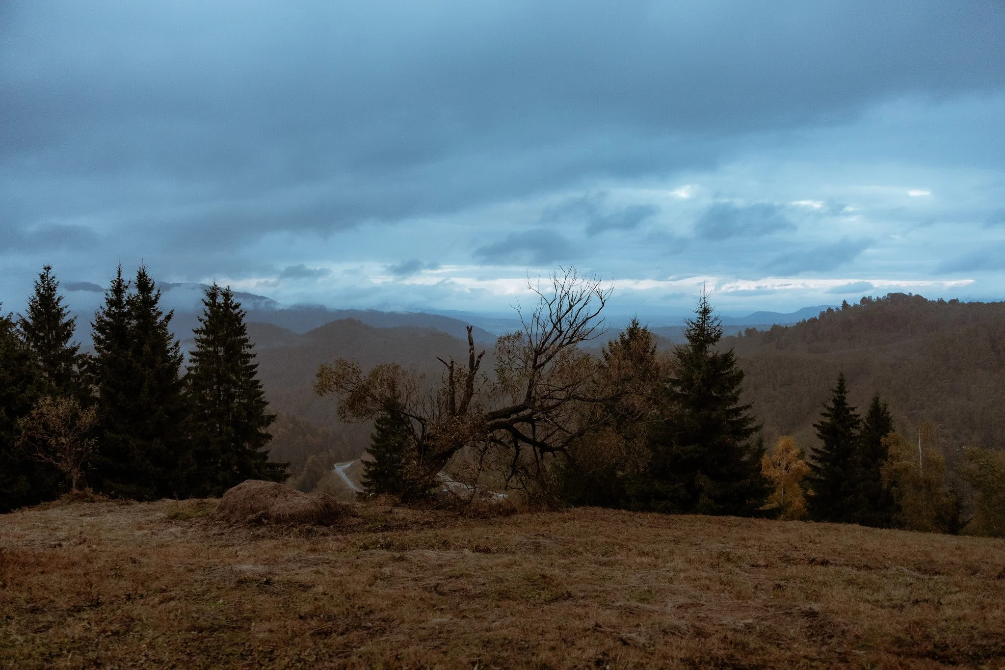 Antonio & Naomi aw web-280.jpg