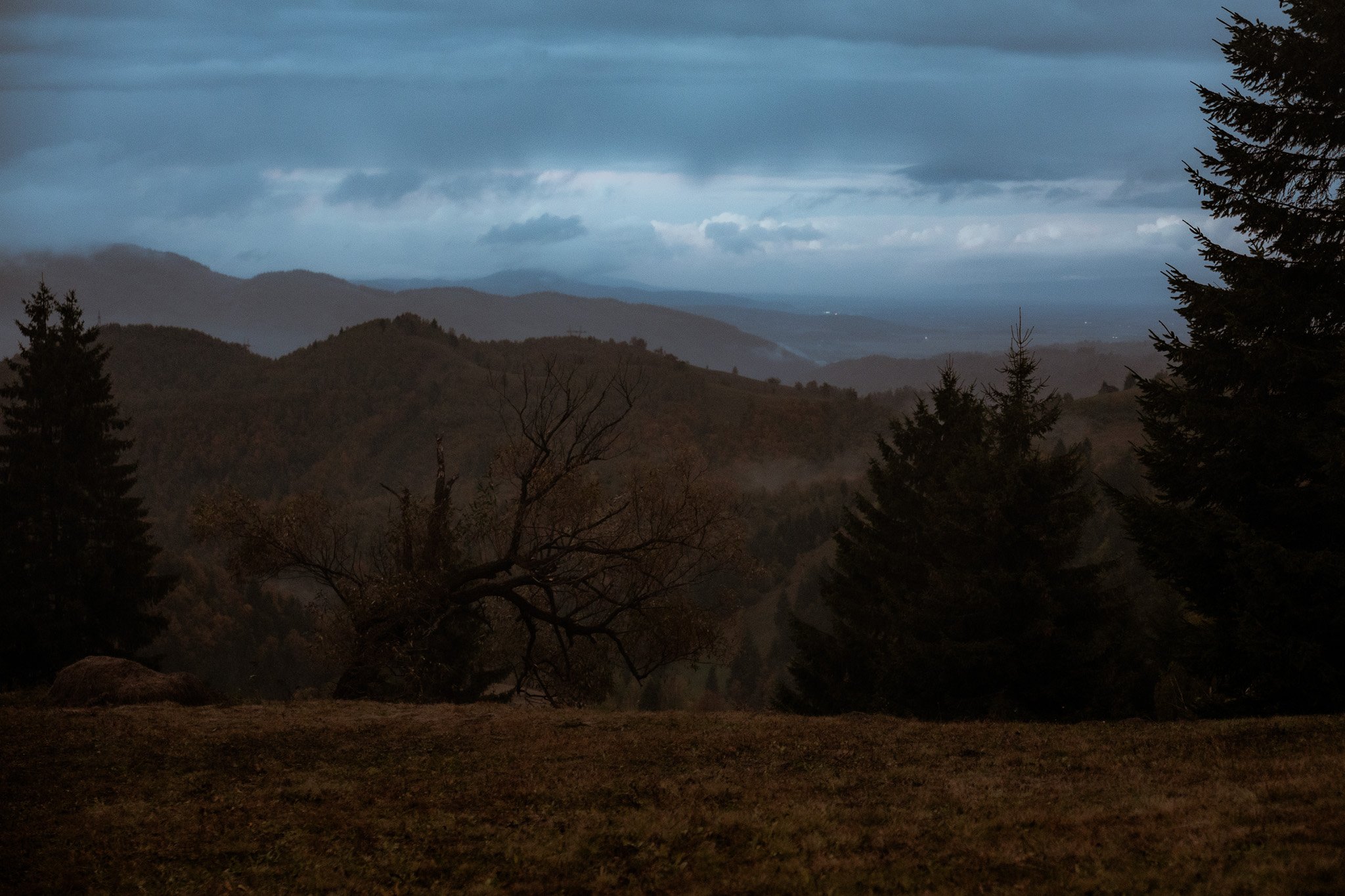 Antonio & Naomi aw web-423.jpg