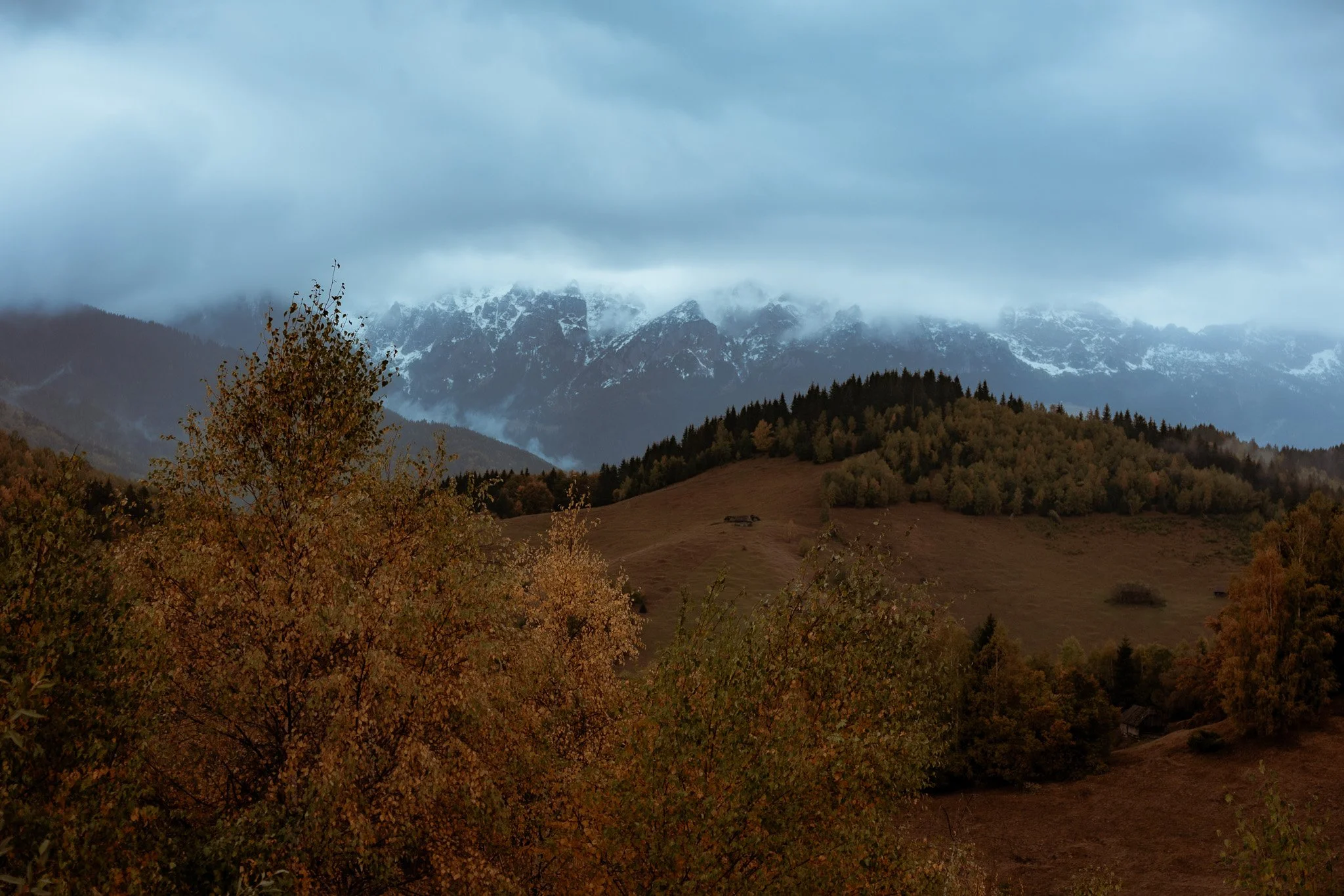 Antonio & Naomi aw web-2.jpg