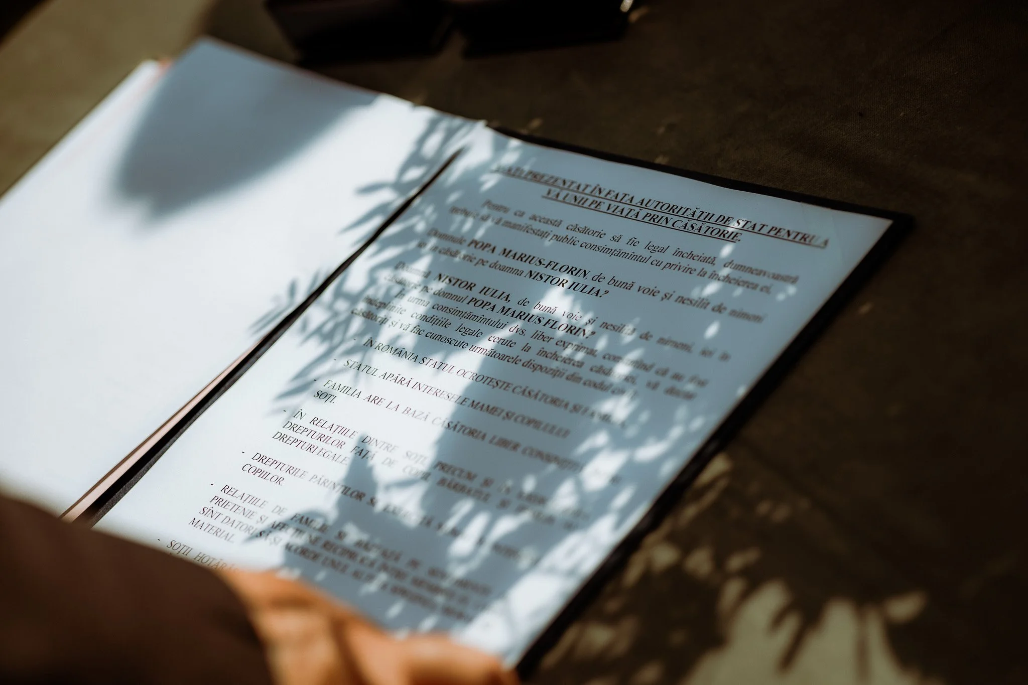 Marius & Iulia web-275.jpg