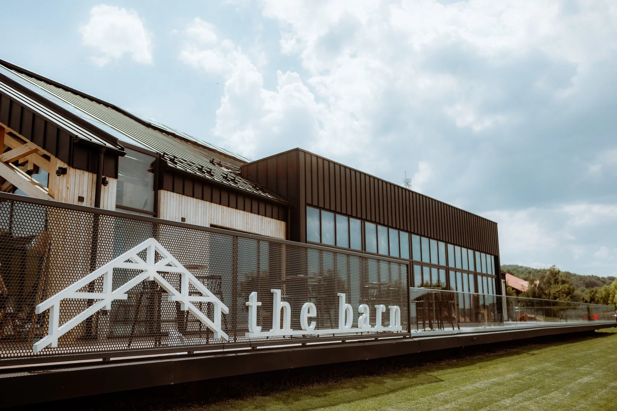 Marius & Iulia web-1.jpg