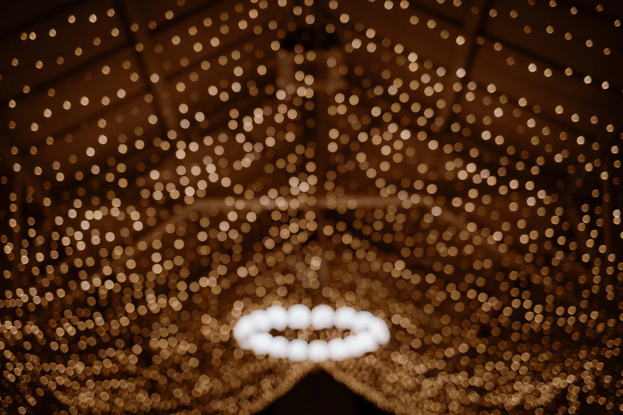 Antonio & Naomi nunta web-1232.jpg