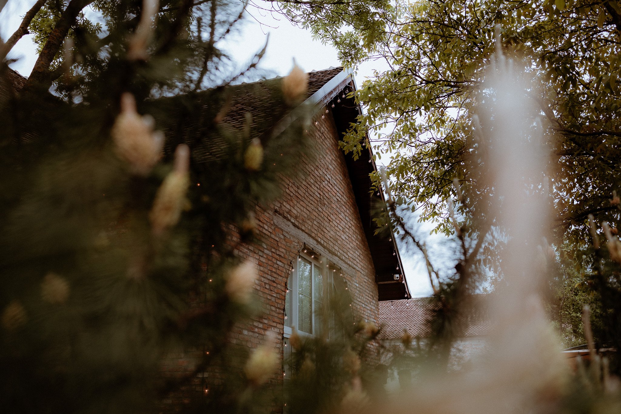 Antonio & Naomi nunta web-576.jpg