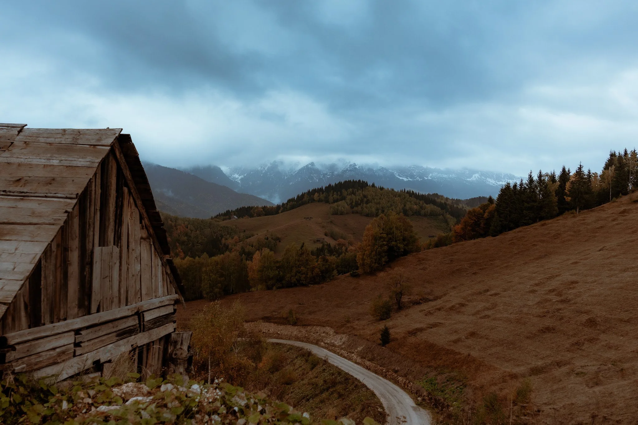 Antonio & Naomi aw web-6.jpg