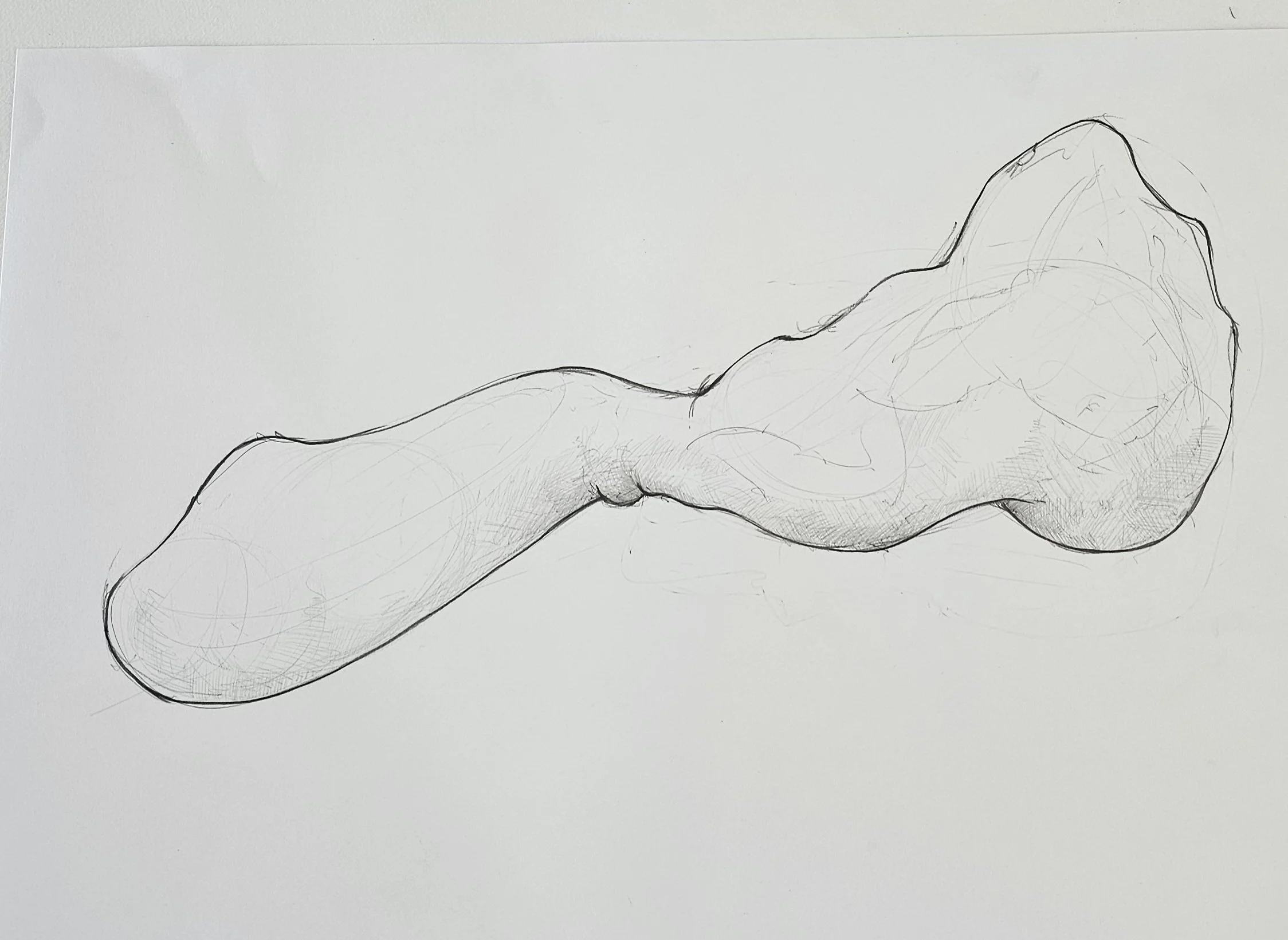 20260528_113415.jpg