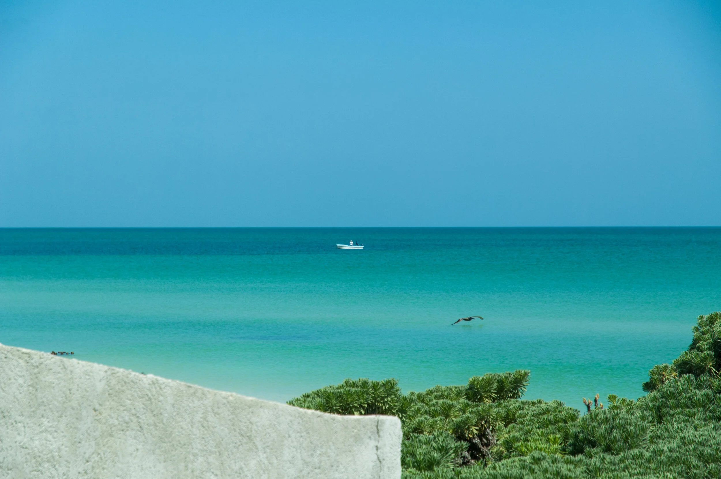 EXPAT FRIENDS STONE MASONS BUILDING A BORDER WALL CORRECT CHELEM YUCATAN MEXICO; CLICK AQUÍ PARA MÁS