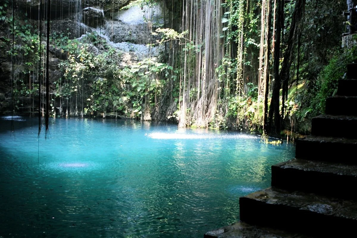 cenote cuzamá.jpg