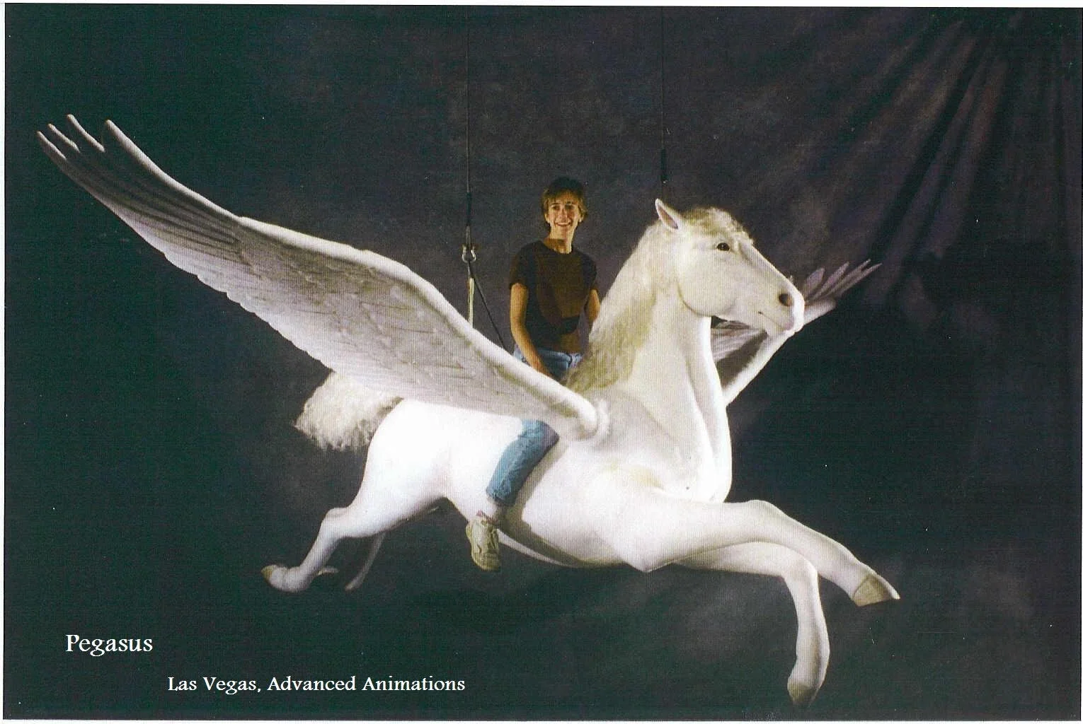 PEGASUS_.JPG