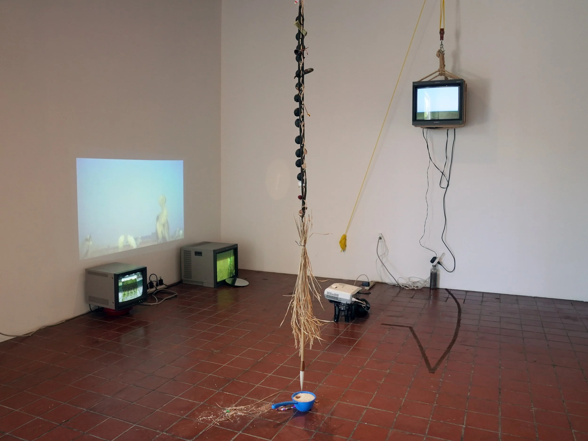 How are you here: Spring