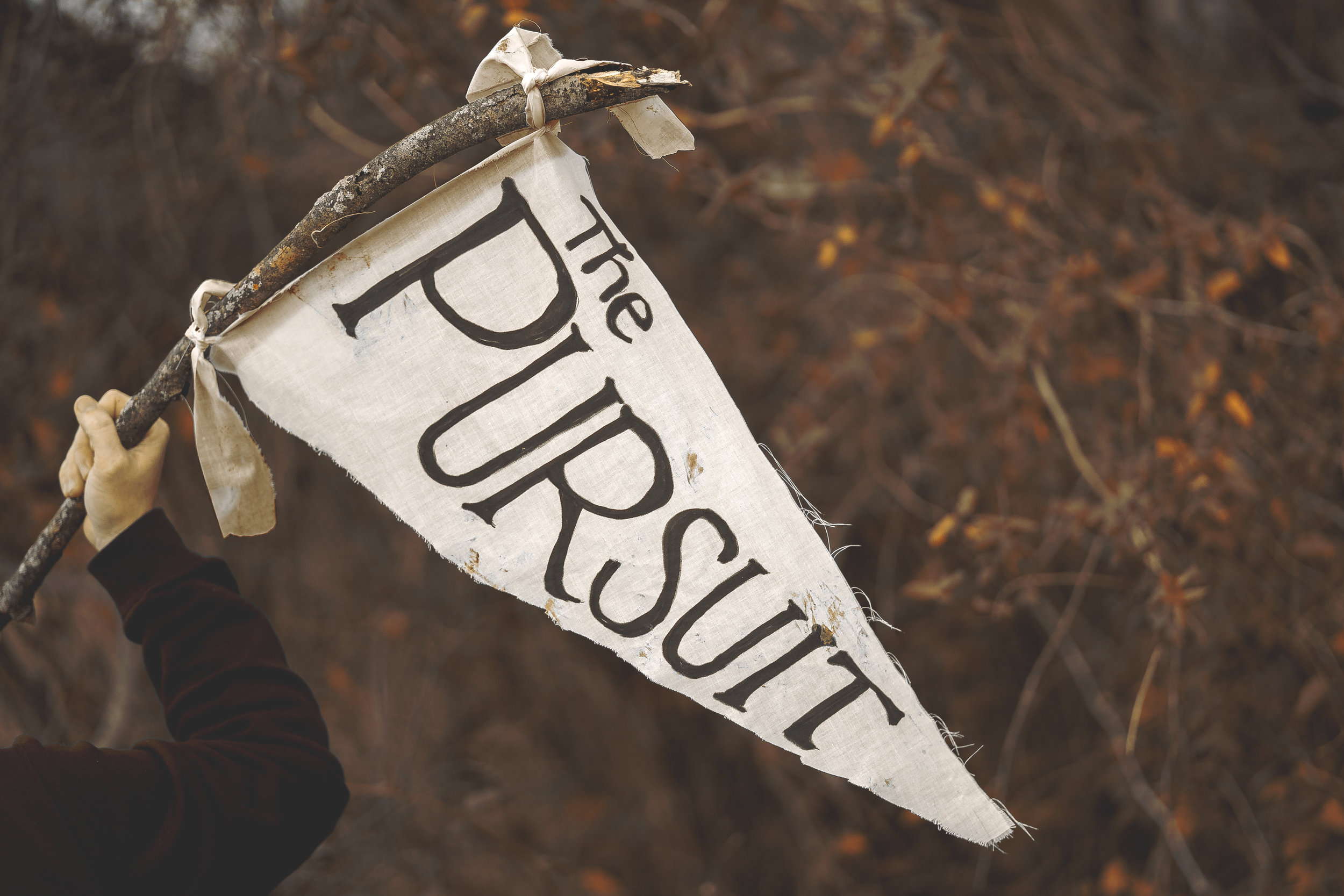 In Pursuit of Purpose