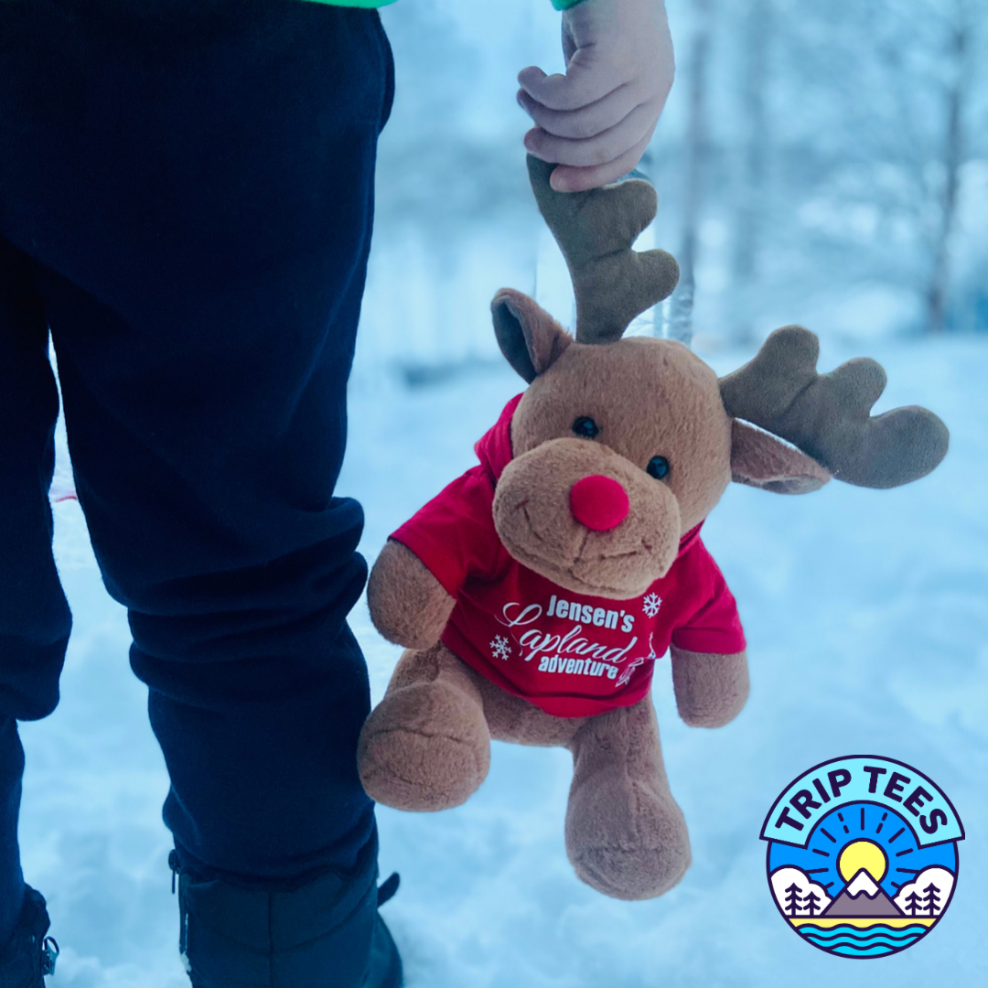 Personalise Me! Reindeer teddy with custom print red Lapland hoodie