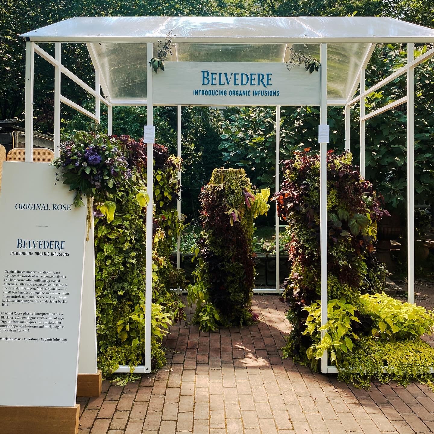Belvedere Organic Infusions — Juliett Romeo
