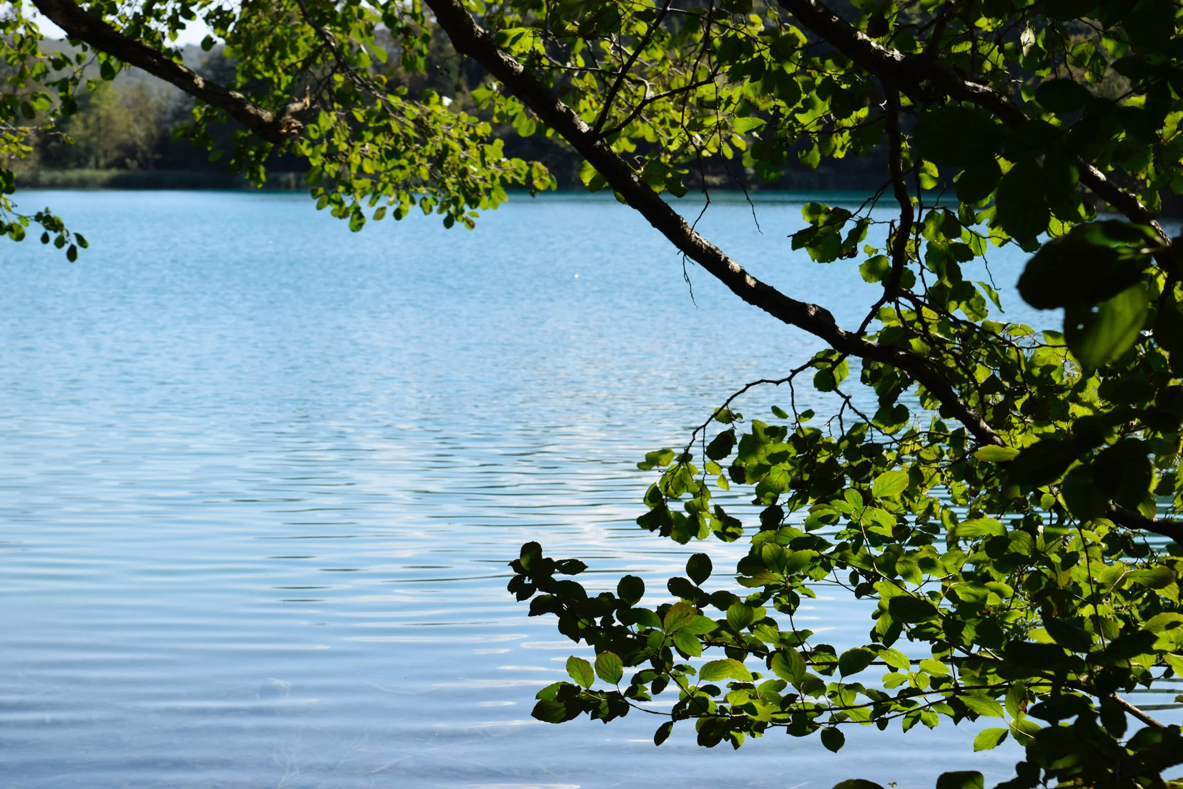 plitvice.jpg
