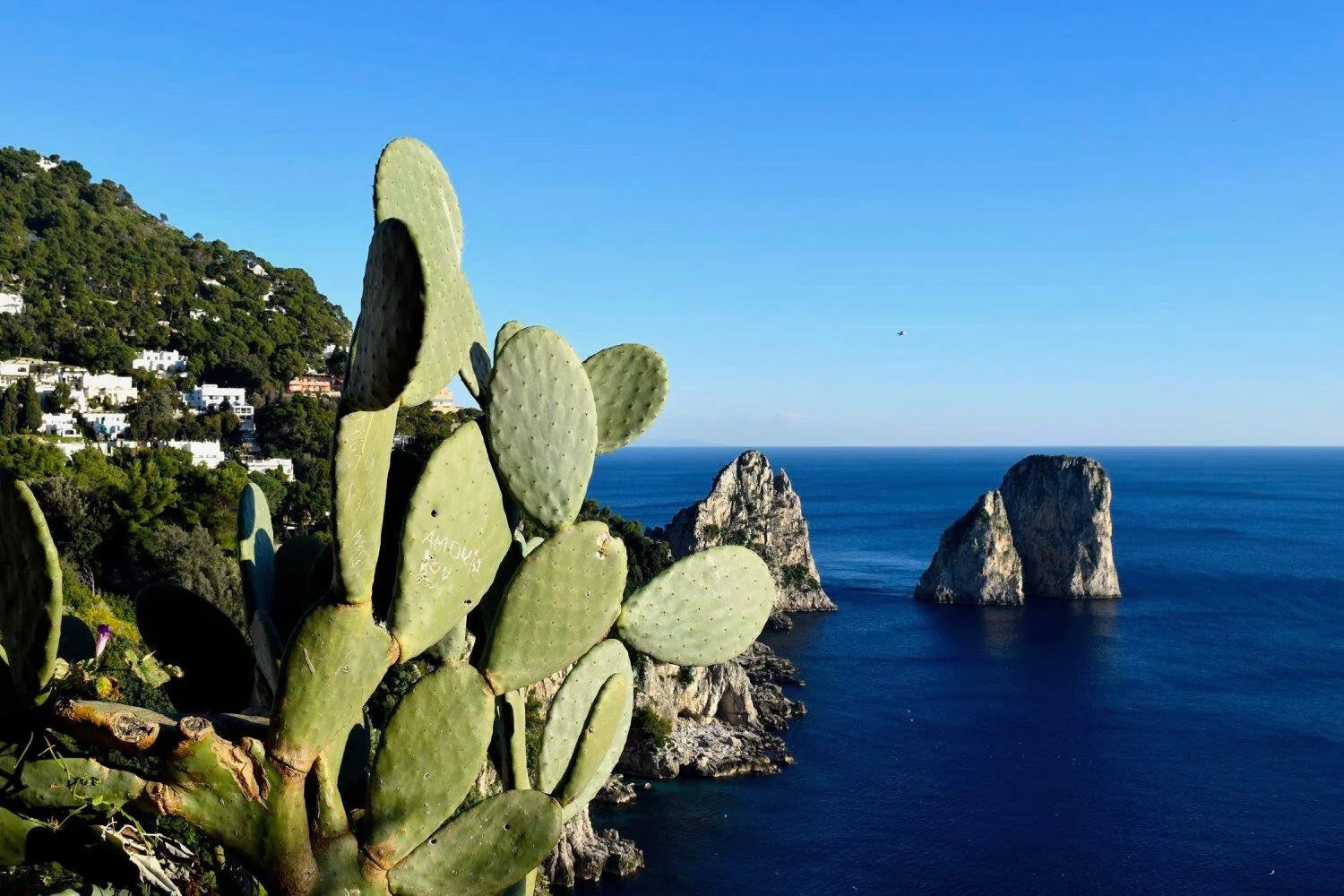 capri_4.jpg