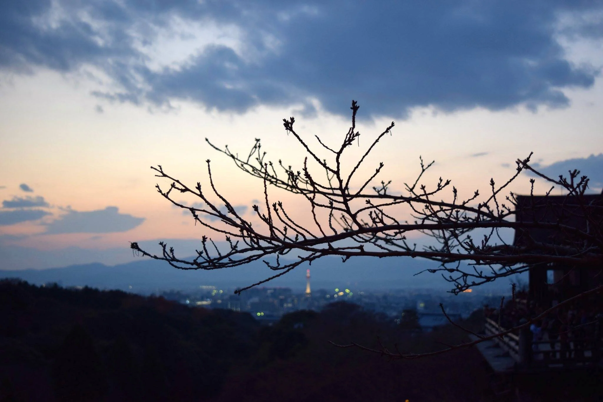 kyoto.jpg
