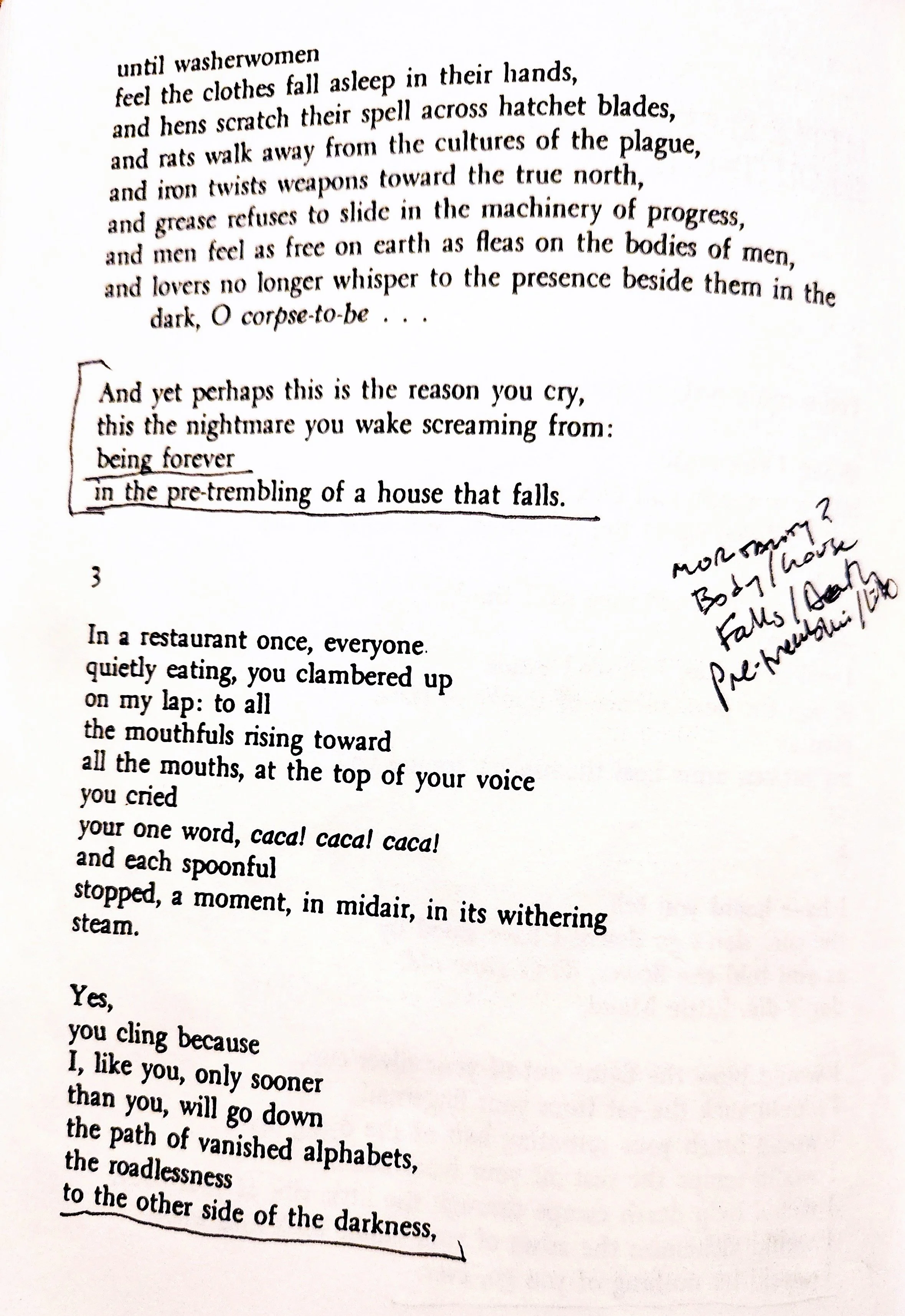 Galway Kinnell Poem — emilybowers.art