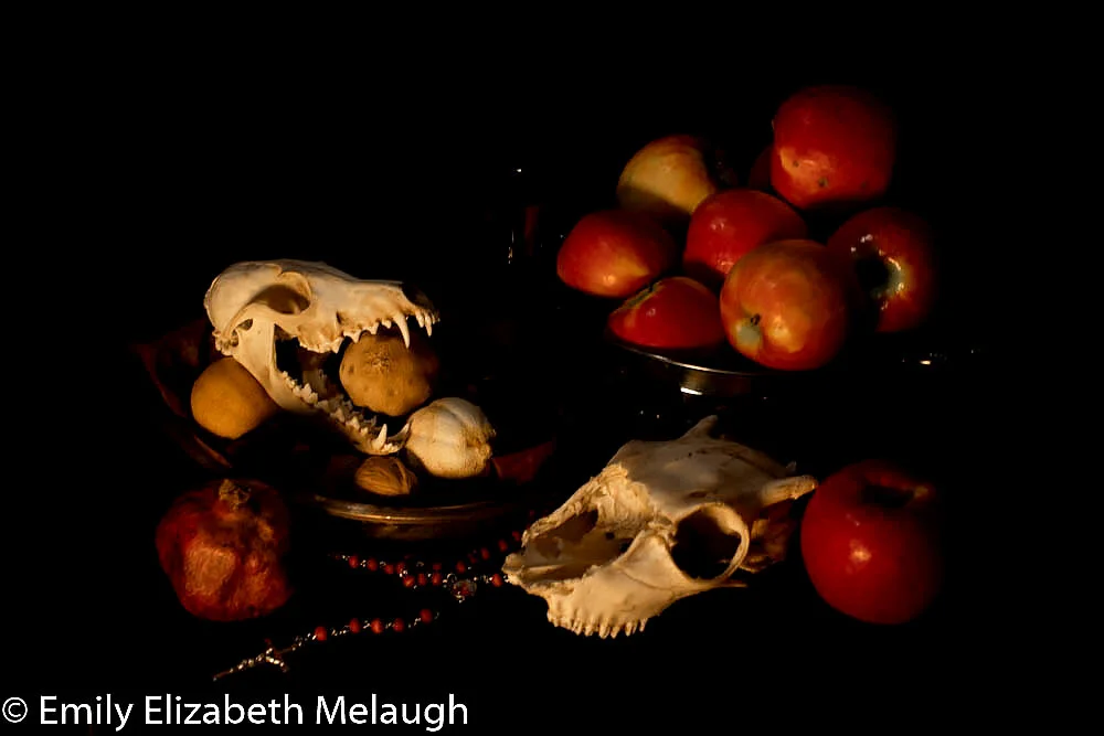 momento mori final with watermark.jpg