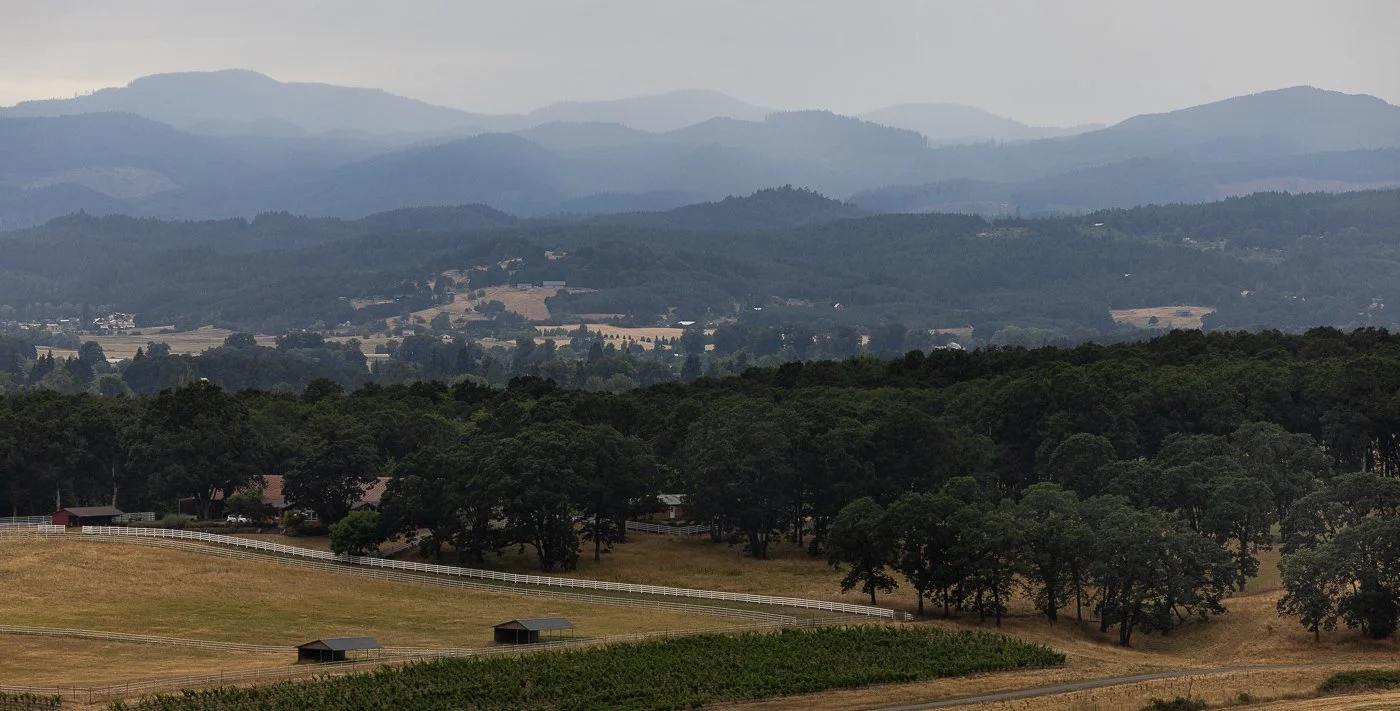Lenne Estate Winnery near Portland, Oregon. This is a shot from their patio overlooking the incredible grape vines.