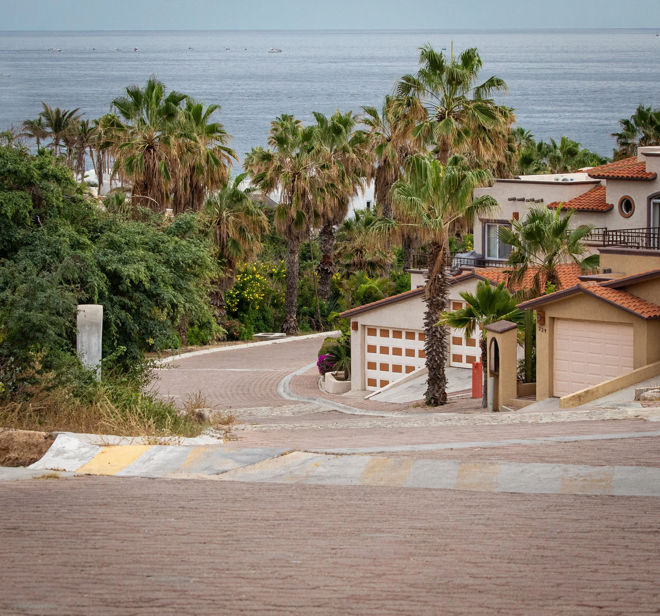 2023 Cabo Trip — RedJack Photography