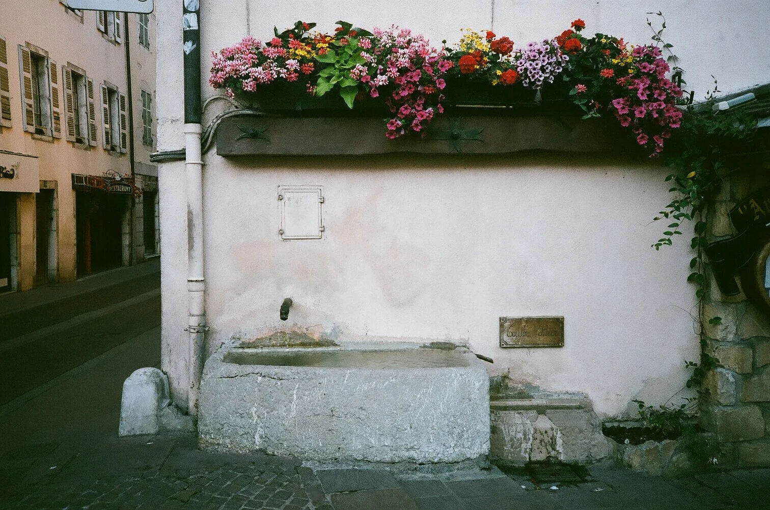 44330022 copy.jpg