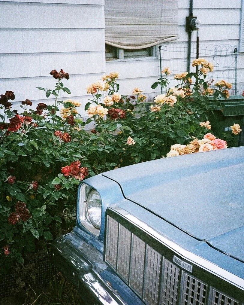 image3 (20).jpg
