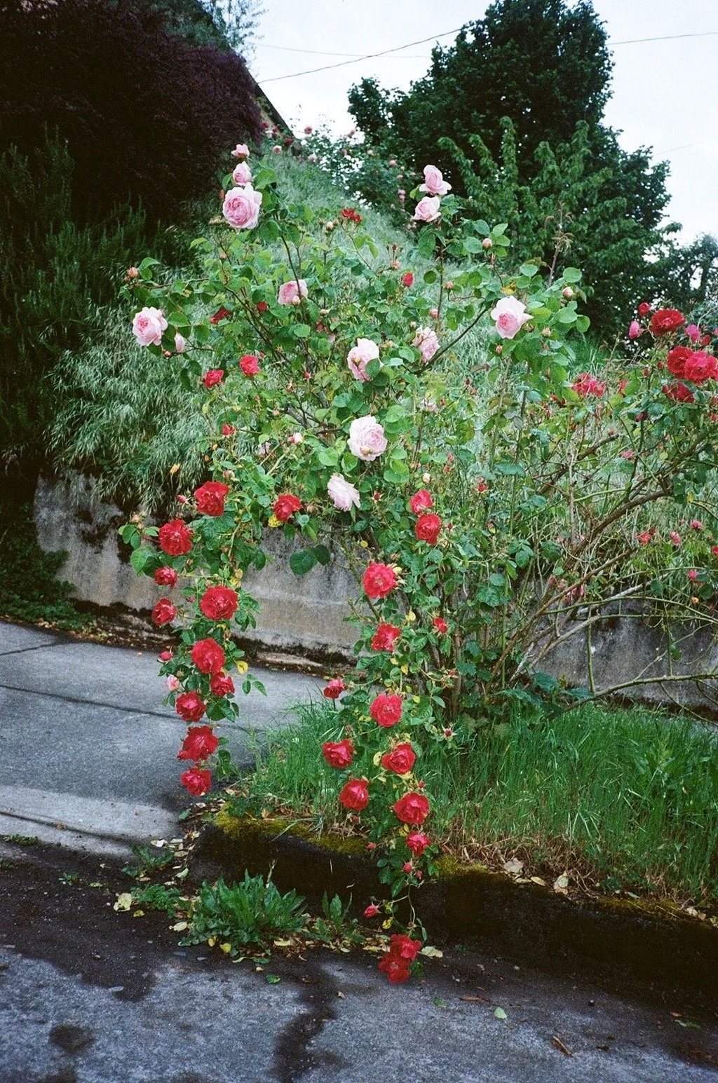 Photo6.jpg