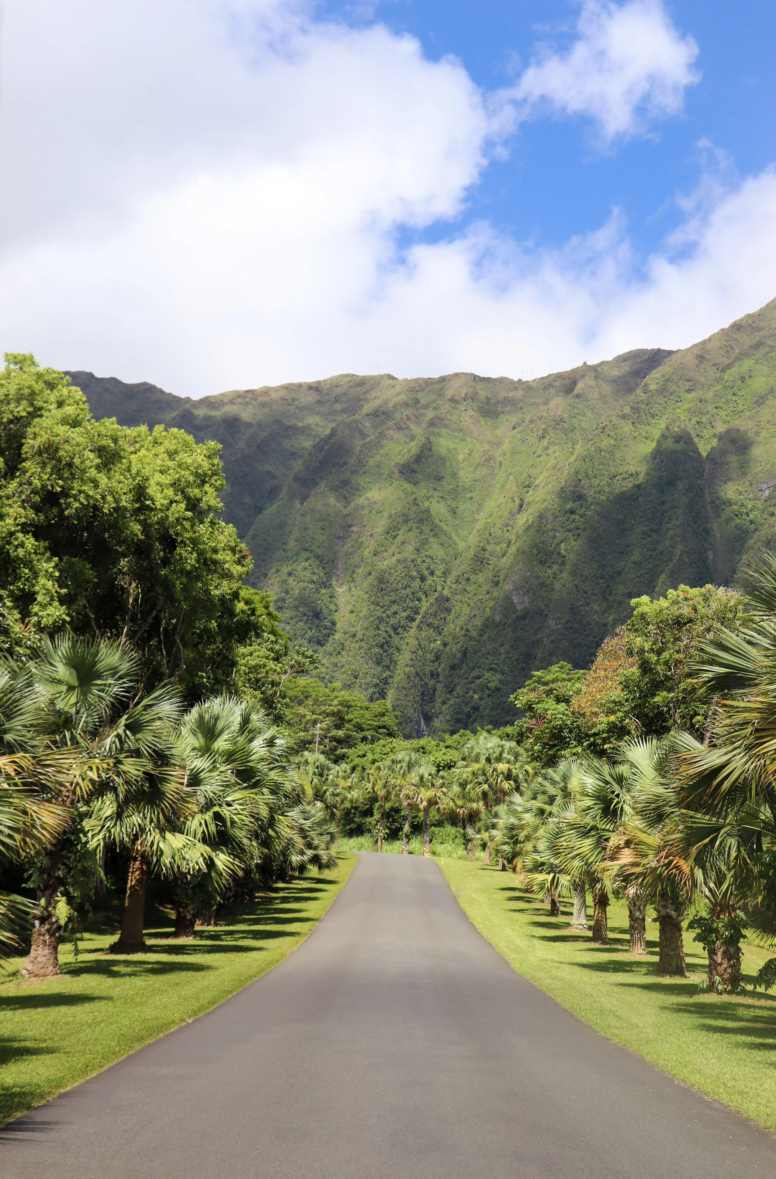 Hoomaluhia Botanical Garden - Oahu, Hawaii