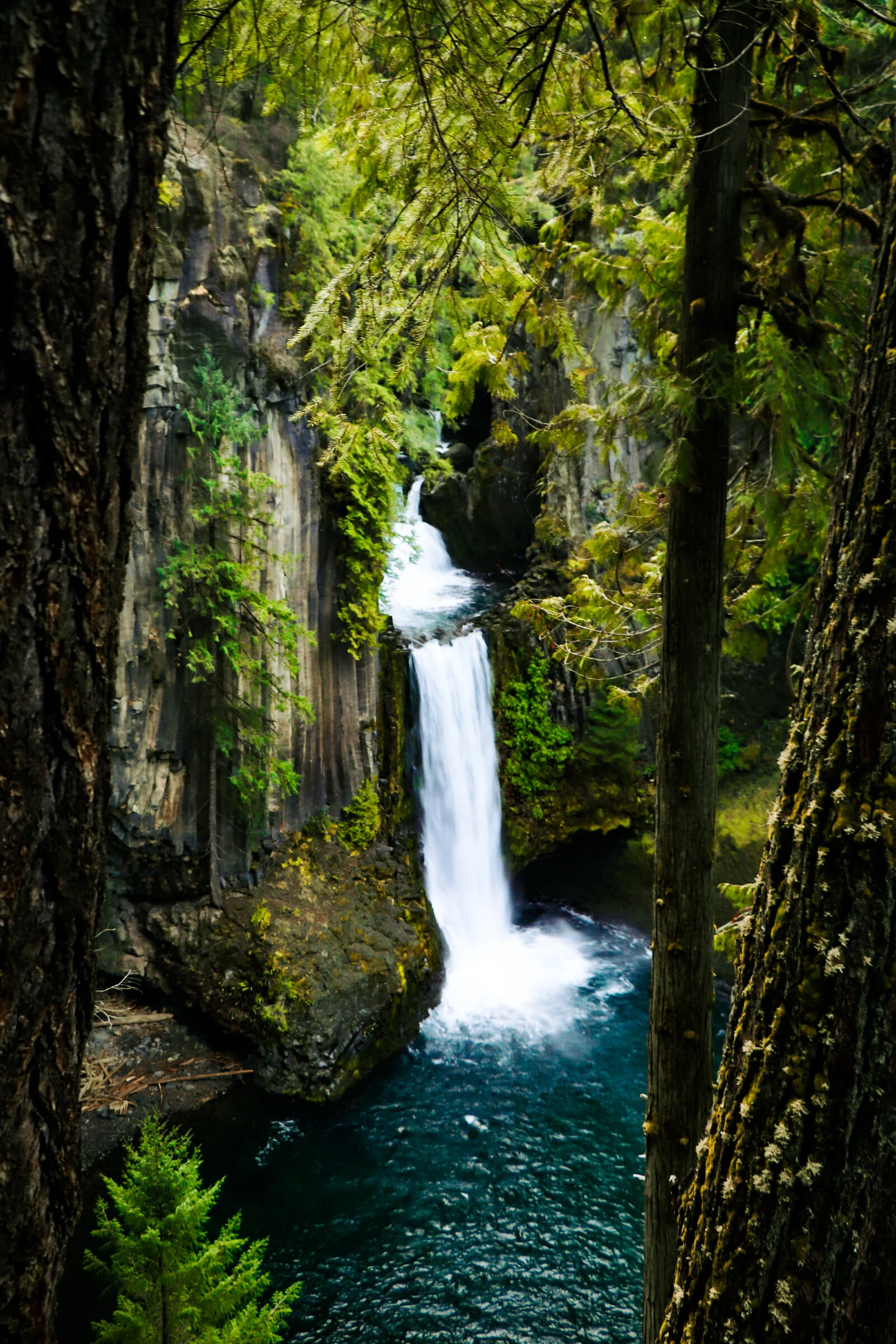 Toketee Falls, Oregon