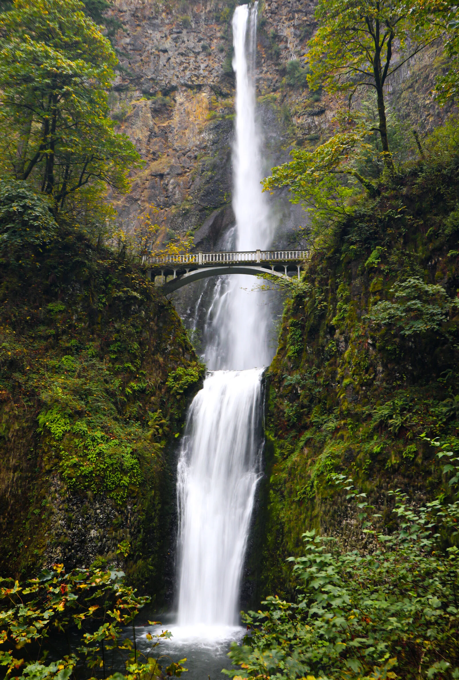 Multnomah Falls, Oregon
