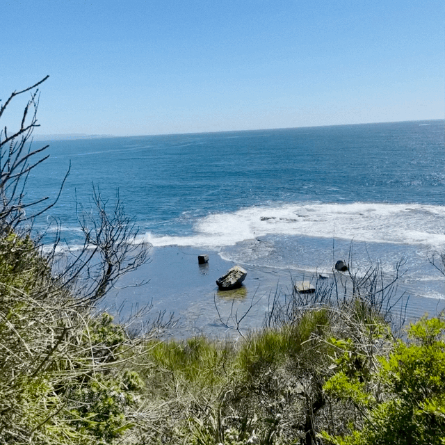 IMG_0419.gif