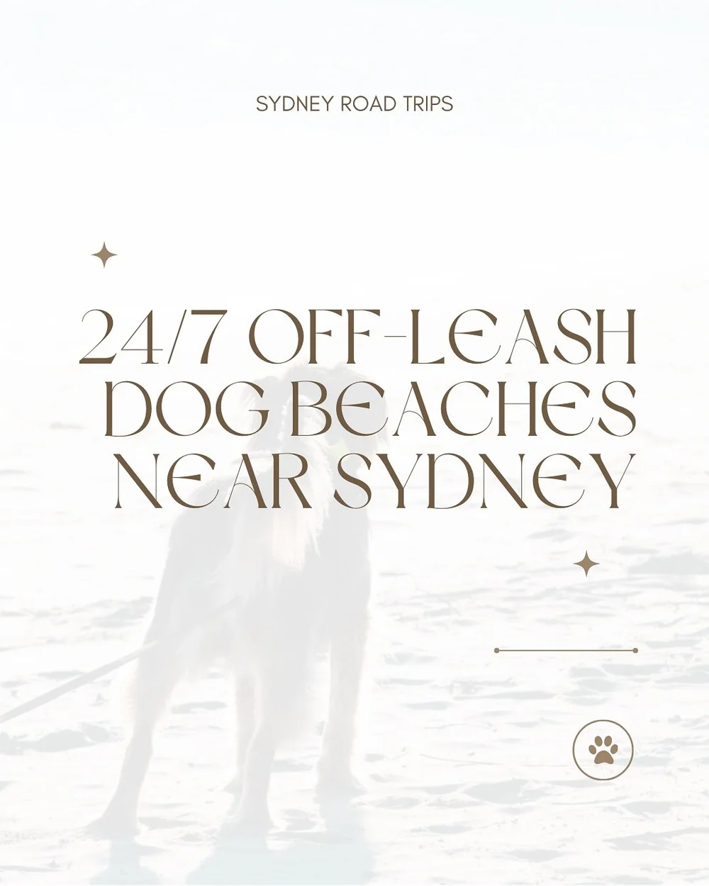 The Orange Zone Dog-Friendly Beaches Close to Sydney

Find the off-lead beaches your pup will love - link in bio

#DogsofInstagram #BeachDog #PuppyAdventures
#DogsofSydney #PetFriendlyTravel #DogsWhoTravel
#SunChaser #WeekendWander #BeachVibesOnly
#E