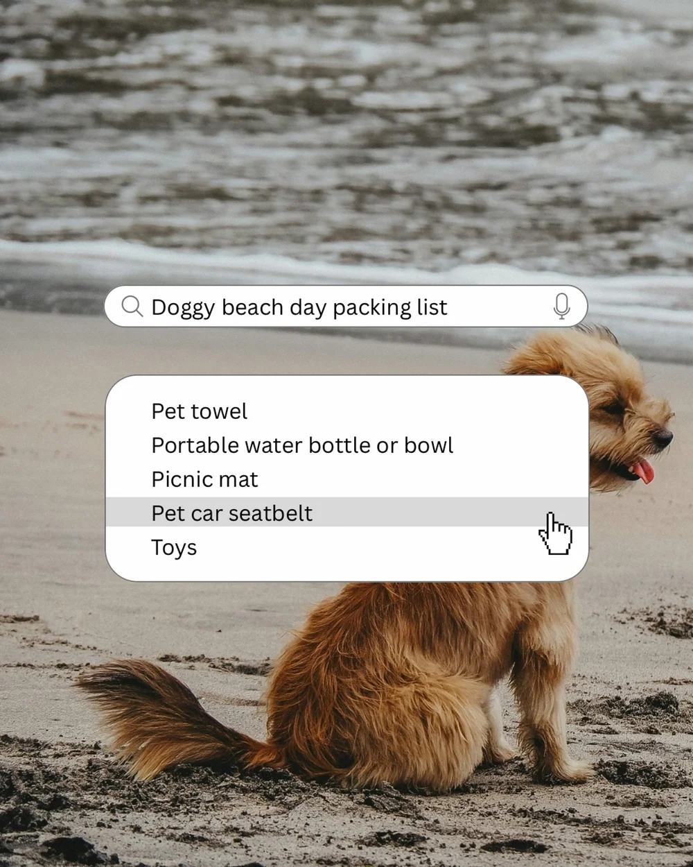 Beach day checklist: Towel, snacks, ball, dog.

We found beaches where your dog is welcome to run free &mdash; check out the list in today&rsquo;s blog.

#DogsofInstagram #BeachDog #PuppyAdventures
#DogsofSydney #PetFriendlyTravel #DogsWhoTravel
#Sun