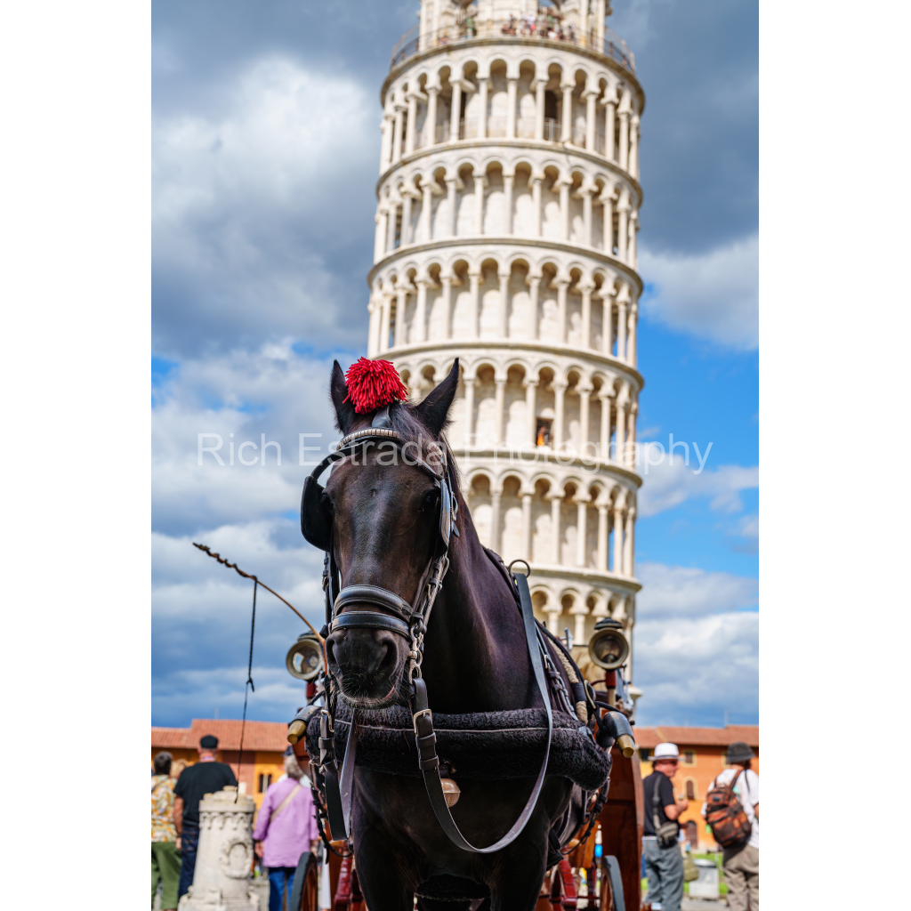 image_original_b5683a13d07dc499143bb11f08f74ff4.png