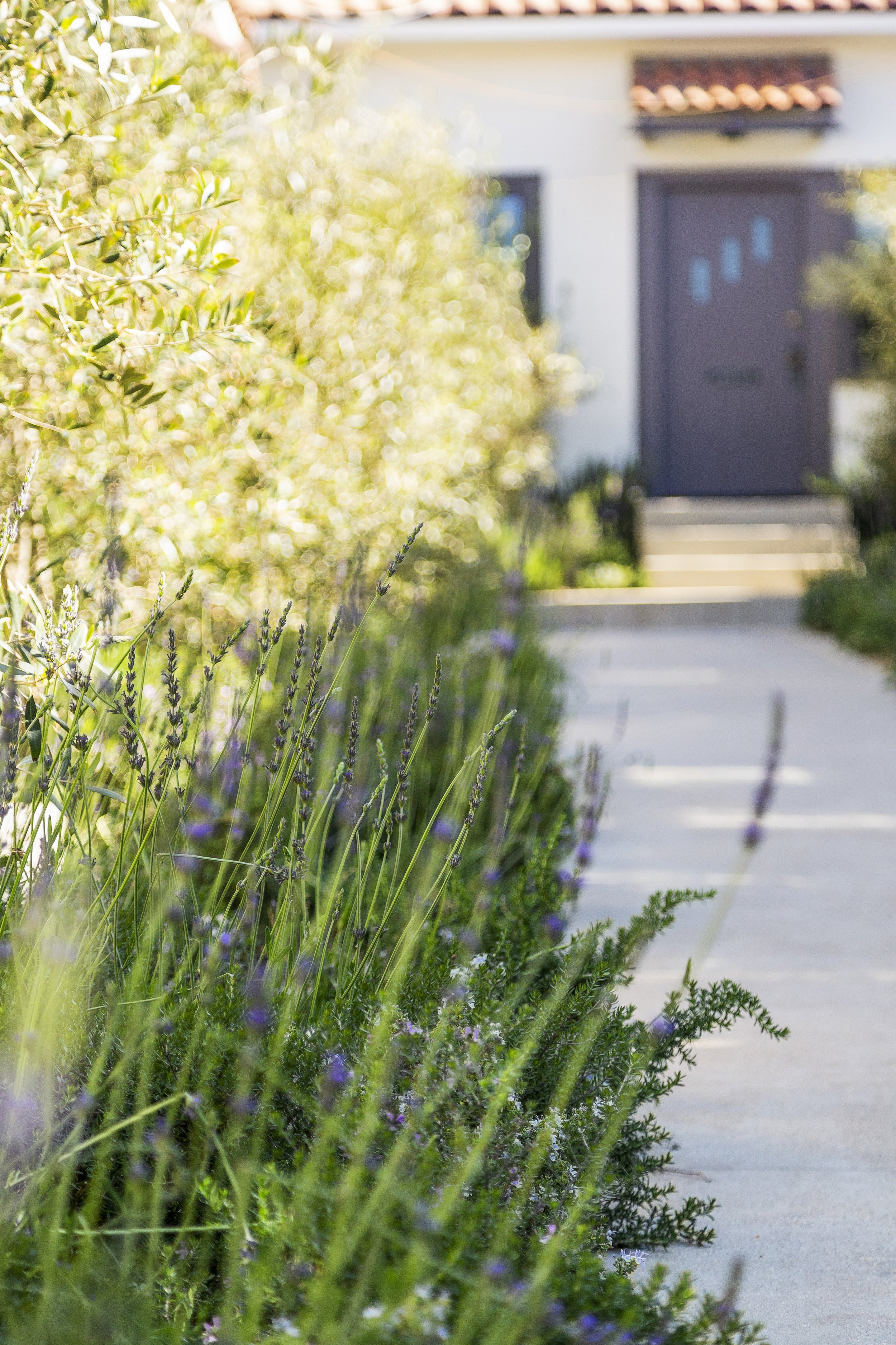 Santa Monica Bungalows