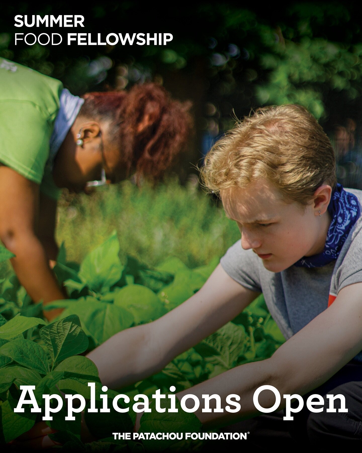 Applications are now open for the Summer Food Fellowship! To apply please head to the link in our bio. The deadline to apply is March 31st 🌱🧑&zwj;🌾🍳🧑&zwj;🍳 #FoodFellowship #ThePatachouFoundation