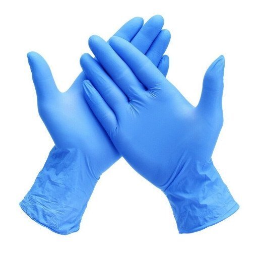 Disposable Gloves (box of 100)