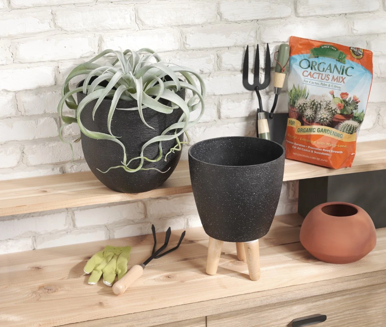 FY25 Spring PD_19719236 Large.jpeg