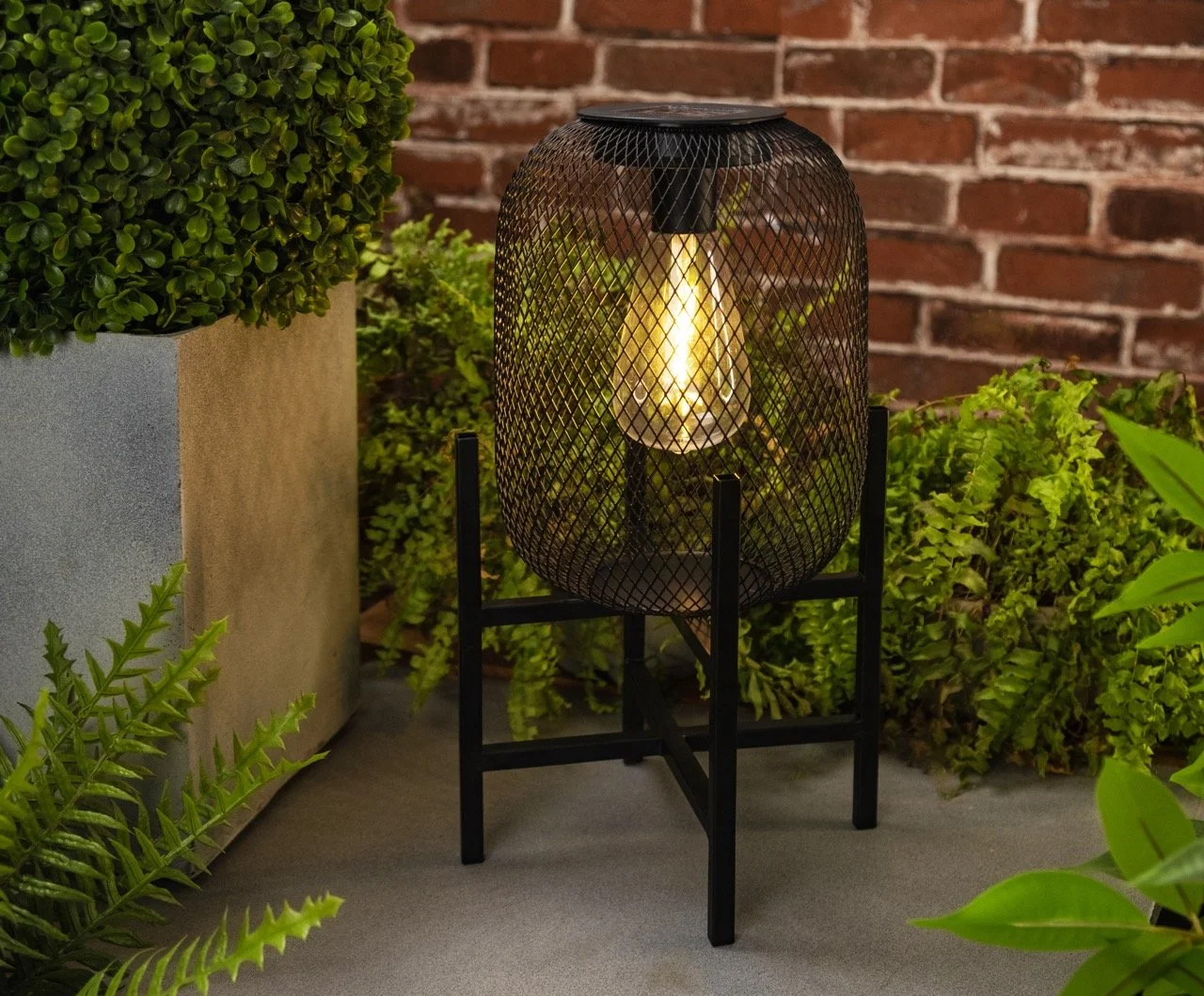 19844323-1 Large.jpeg