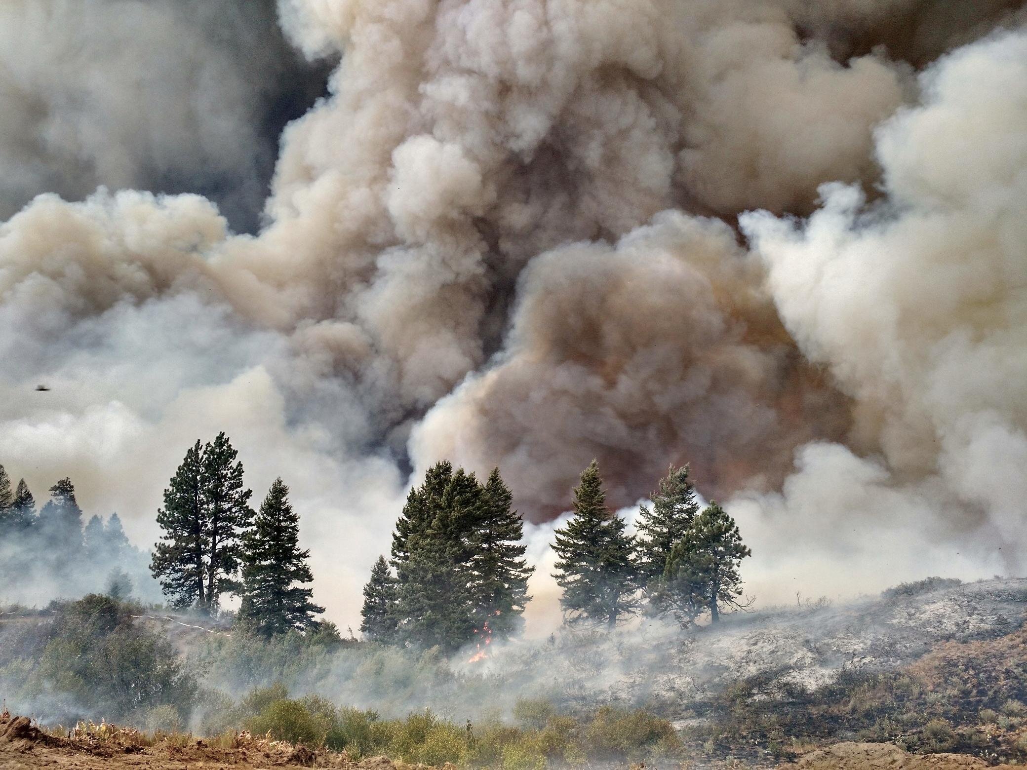 Wildfire-4d-smokebillowing.jpg