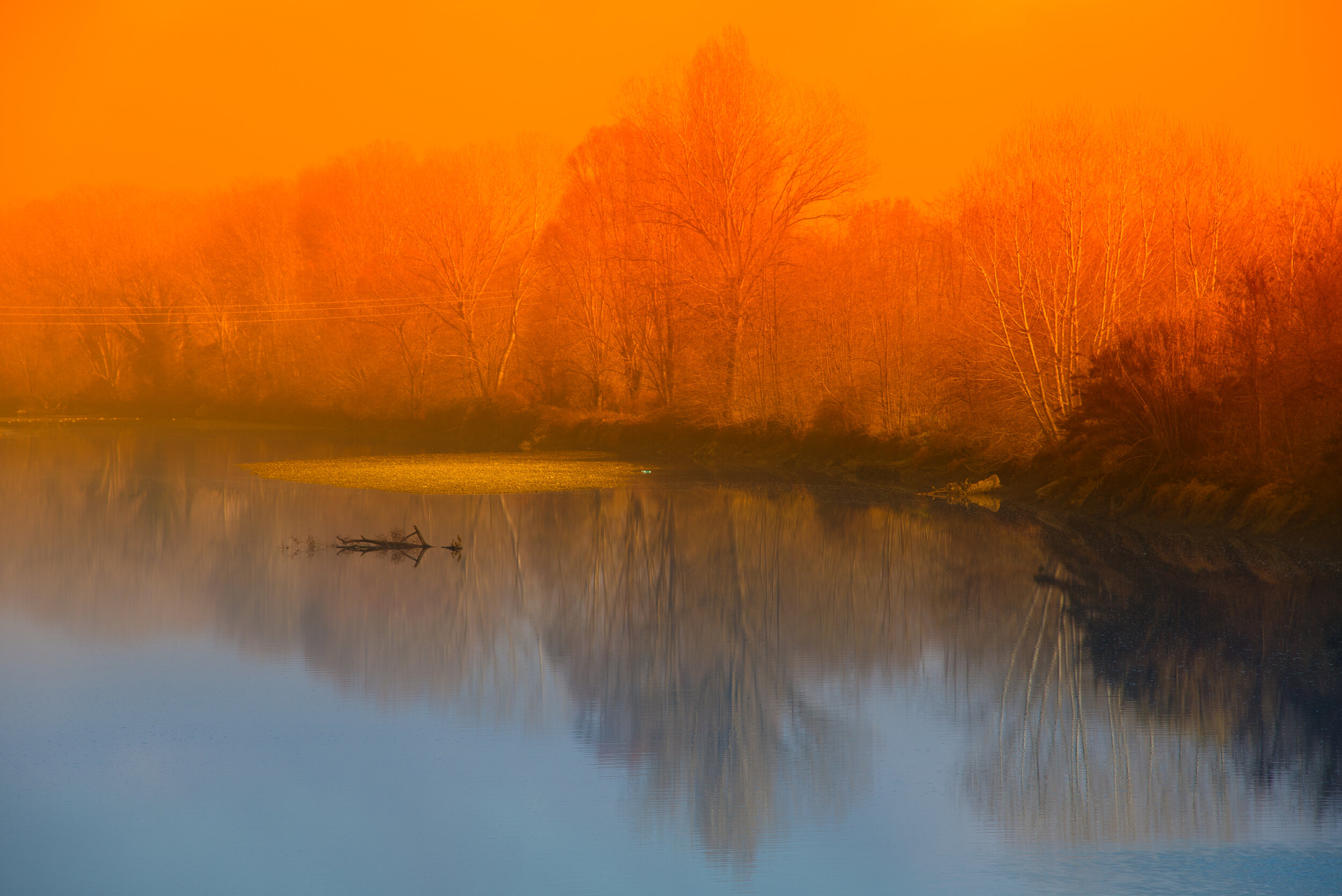 Wildfire-4d-orangeandblue.jpg