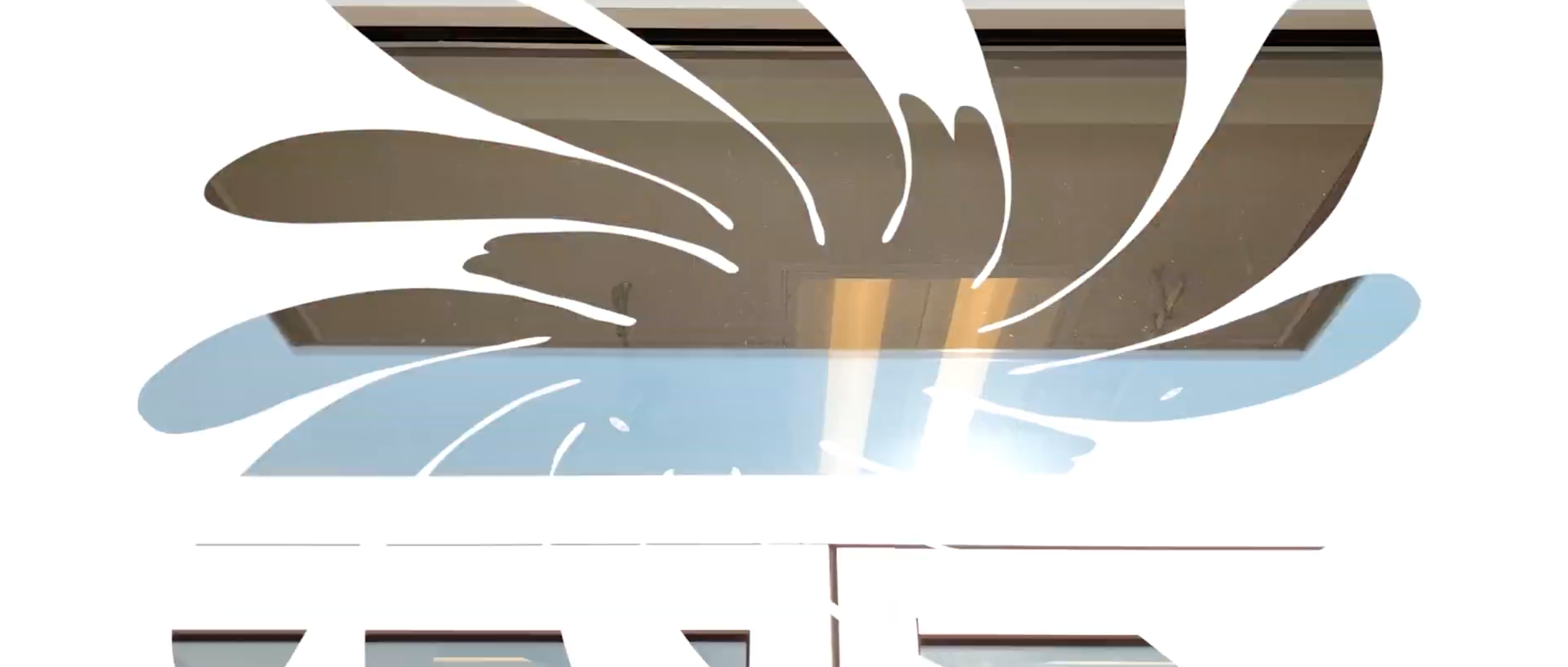 Screen Shot 2020-01-02 at 8.16.58 PM.png